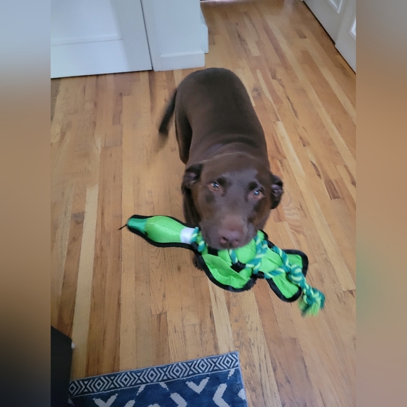 I'M LIVE! - Picture 7 of 9